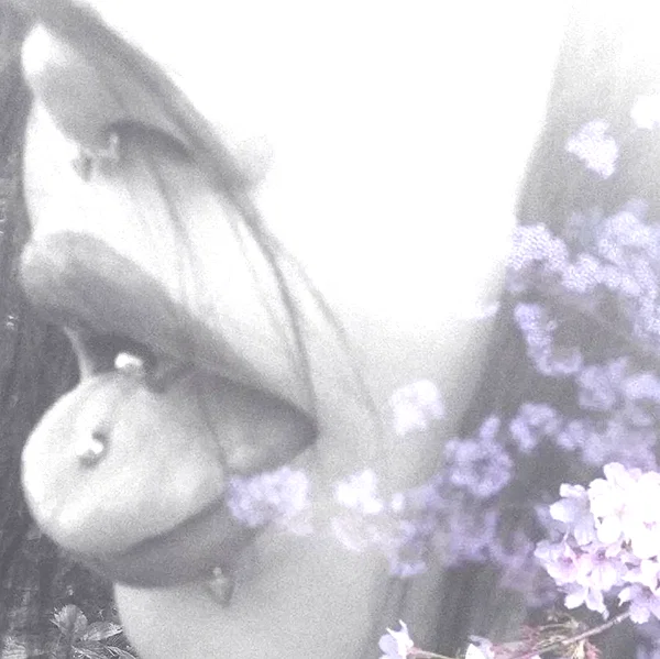 hanfbbae instagram image archive image