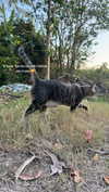 darkstar_mia Altpins Profile Picture