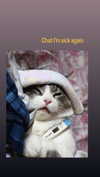 cellow111 Altpins Profile Picture