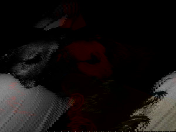 manjolamuriqi manjolamuriqi archive image