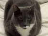 minenmi_ Altpins Profile Picture
