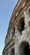annabottoo Altpins Profile Picture