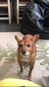 bat.wiings Altpins Profile Picture
