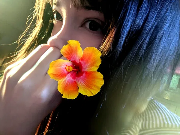 starttles starttles archive image