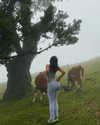 vanessa.rhd Altpins Profile Picture