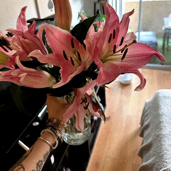 haileylayfield instagram image archive image