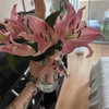 haileylayfield Altpins Profile Picture