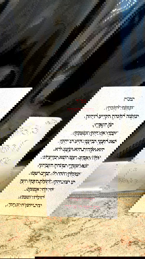 efrat_elmalich efrat_elmalich archive image