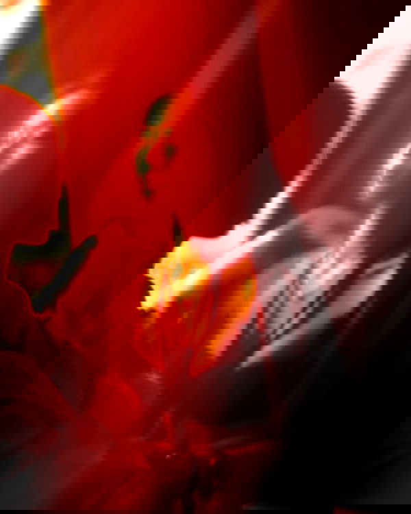 ting851204 ting851204 archive image