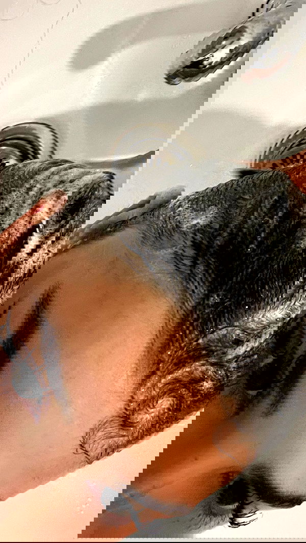 efrat_elmalich efrat_elmalich archive image