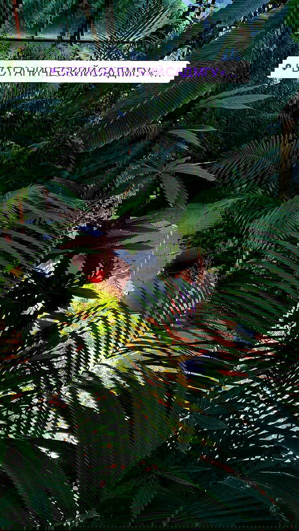 pinx_ir pinx_ir archive image