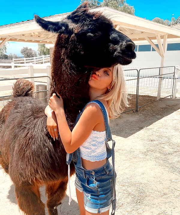 ellianawalmsley instagram image archive image