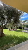 federica.piccinni Altpins Profile Picture