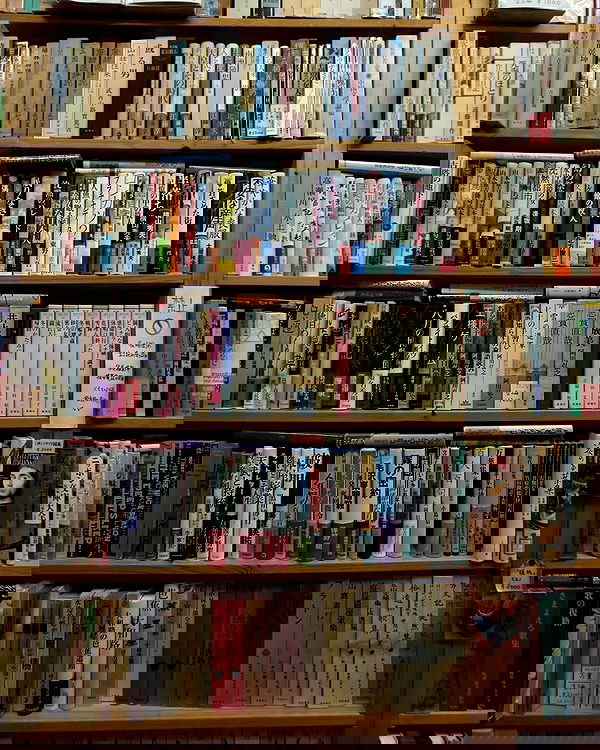 paigeinsco paigeinsco archive image