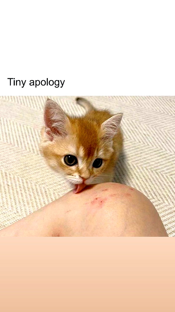 babynympho_archive instagram image archive image