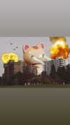 babynympho_archive Altpins Profile Picture
