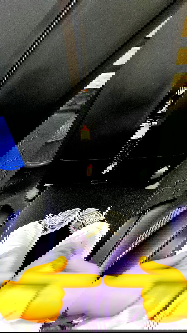 elianachetrit elianachetrit archive image