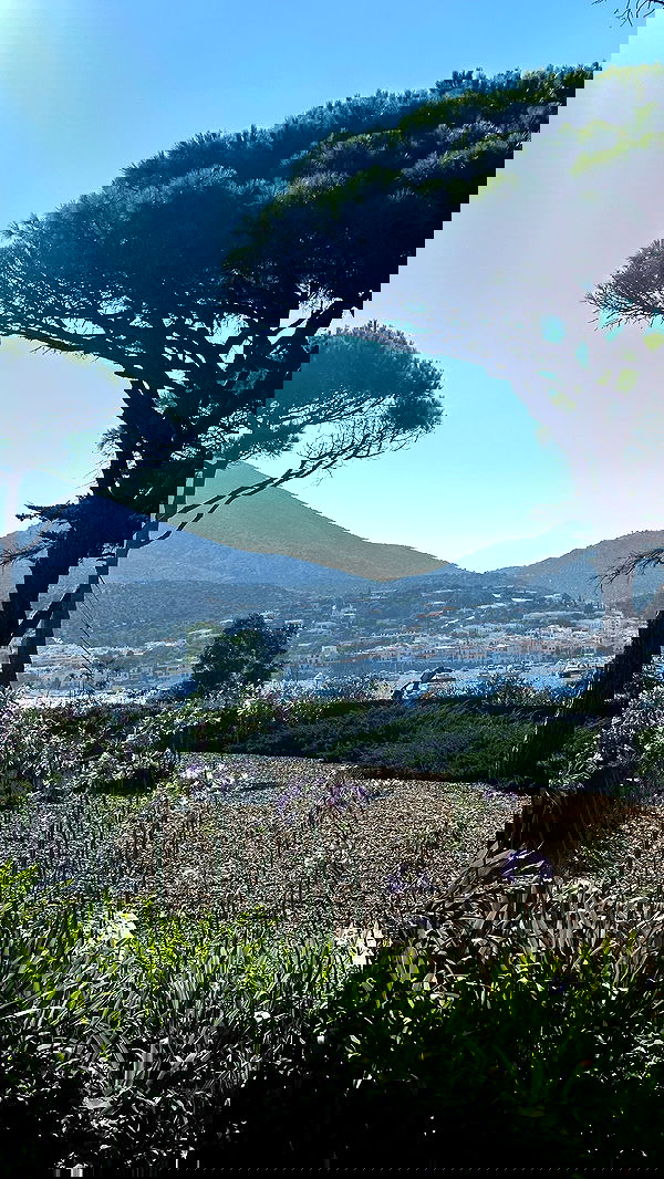 taylor.creeden taylor.creeden archive image