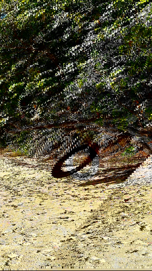 taylor.creeden taylor.creeden archive image