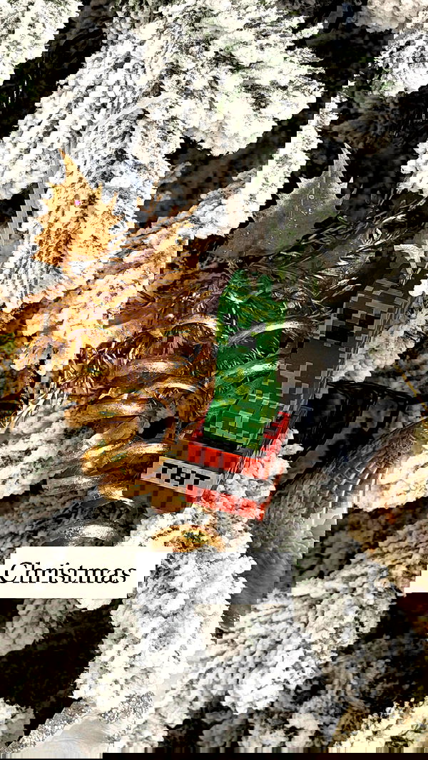 big_icky big_icky archive image