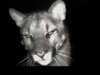 alexxndrraa Altpins Profile Picture