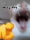 milkibunshehe Altpins Profile Picture