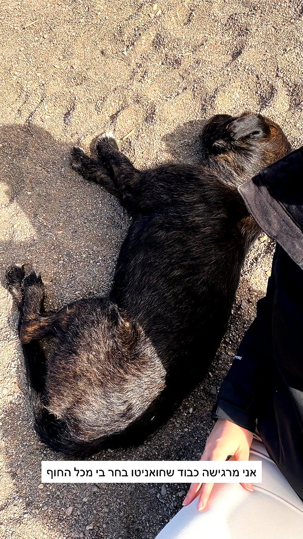 itsilanosh instagram image archive image