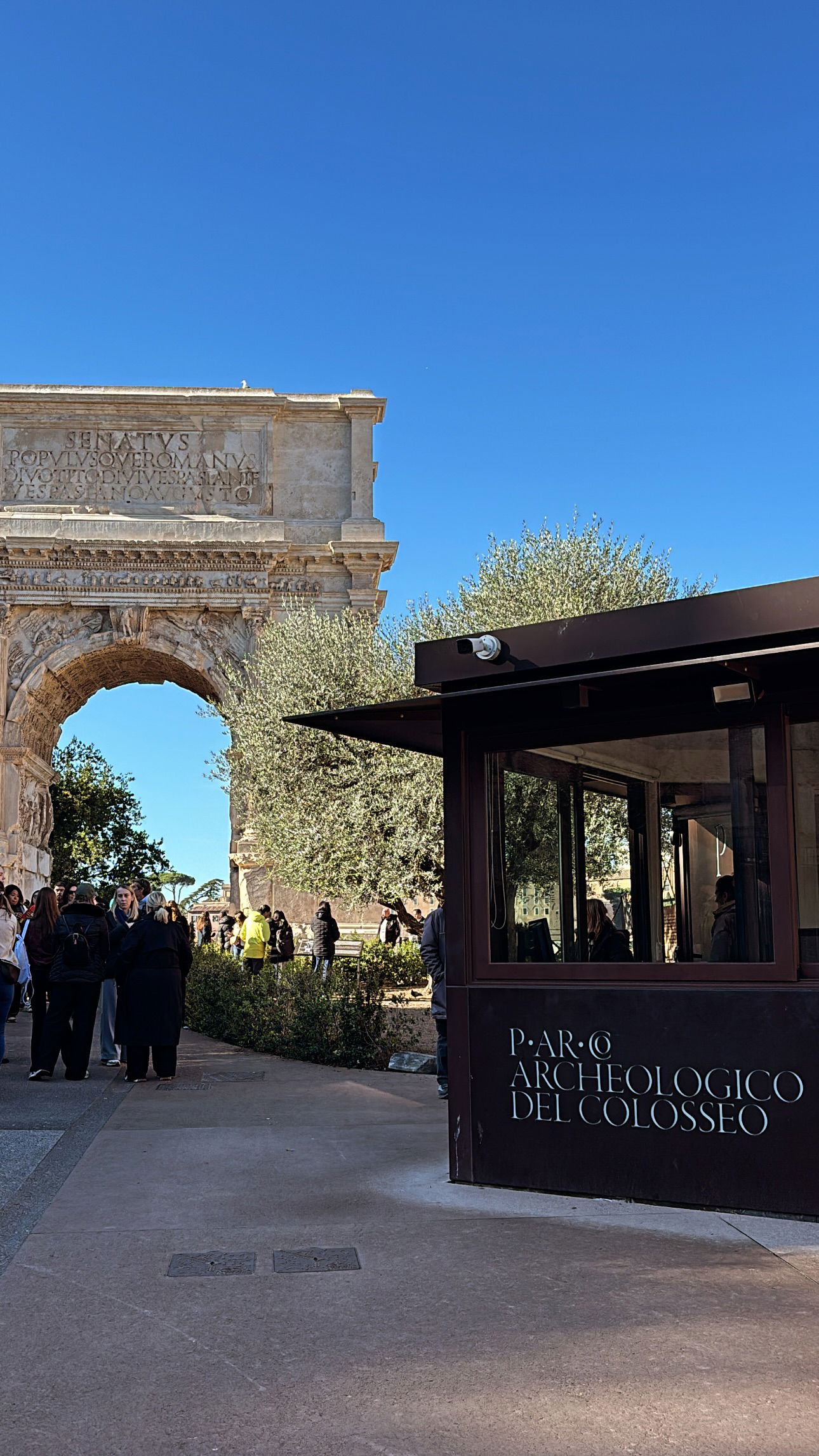 elsgatti instagram image archive image