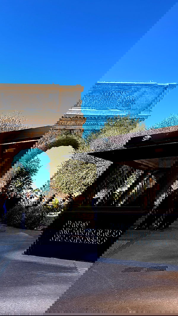 elsgatti image ~ Altpins