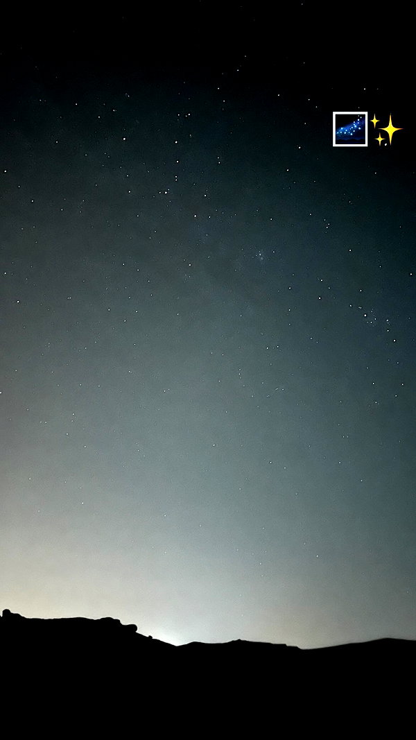 tamar_tsur instagram image archive image