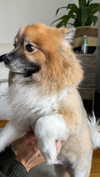 v.qx Altpins Profile Picture