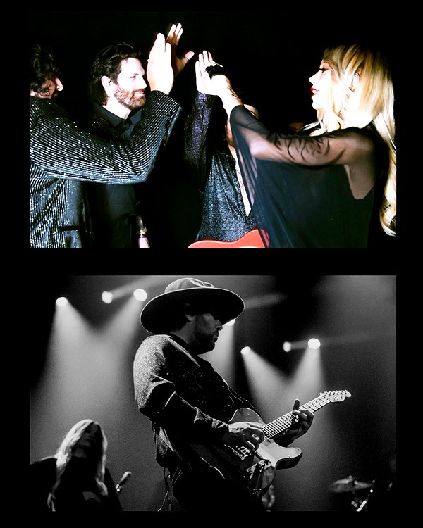cannonstheband instagram image archive image