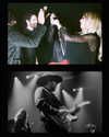cannonstheband Altpins Profile Picture