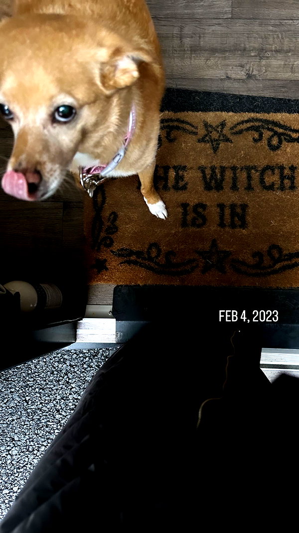 arianagrande instagram image archive image