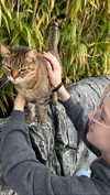 miikheeva_stasiiya Altpins Profile Picture