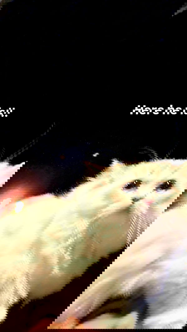 minaxash minaxash archive image