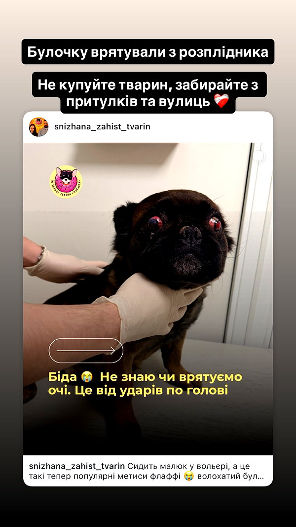 tiny.eviluv instagram image archive image
