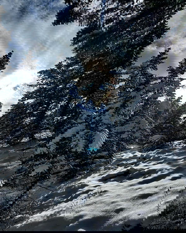 thelizzyporter thelizzyporter archive image