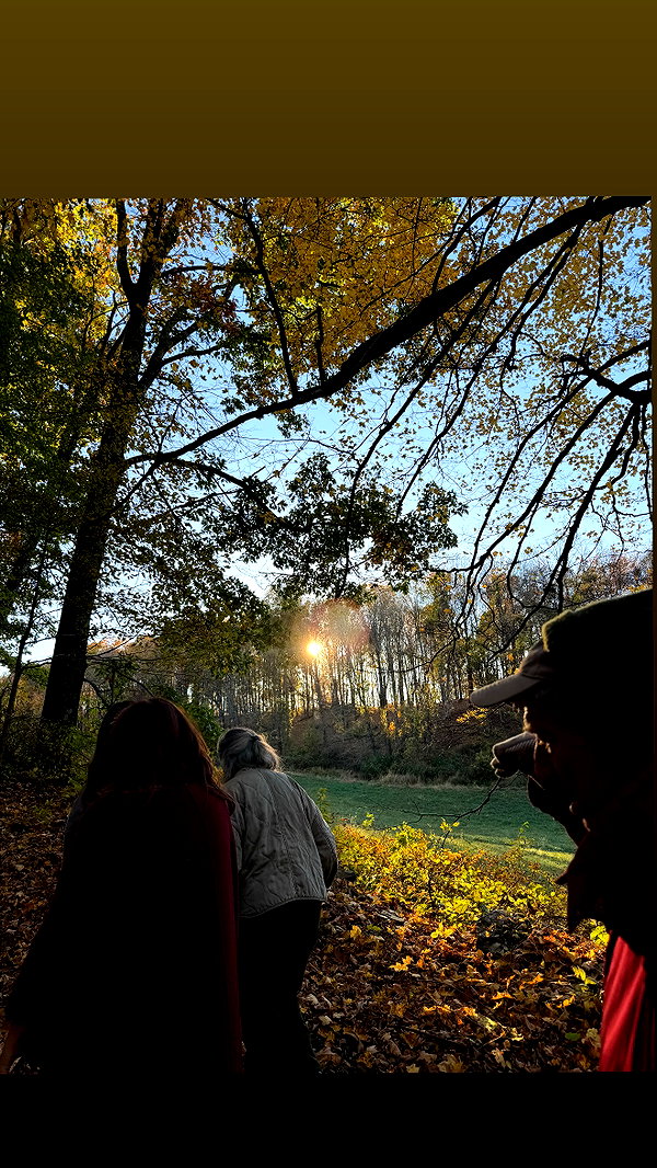 arikuschnir instagram image archive image