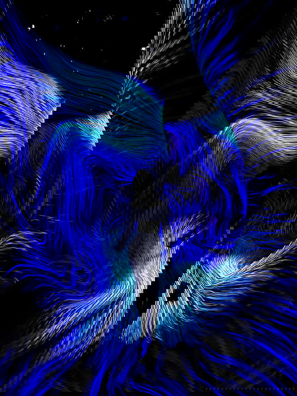 taylor.creeden taylor.creeden archive image