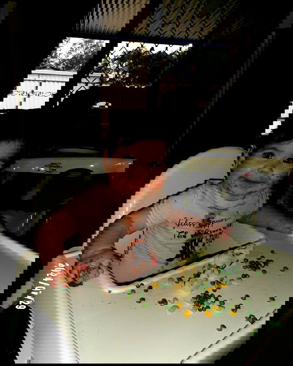 jtilb2 image ~ Altpins