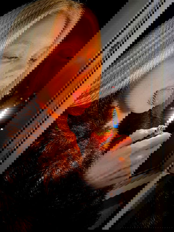 sofykil sofykil archive image