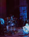 cannonstheband Altpins Profile Picture