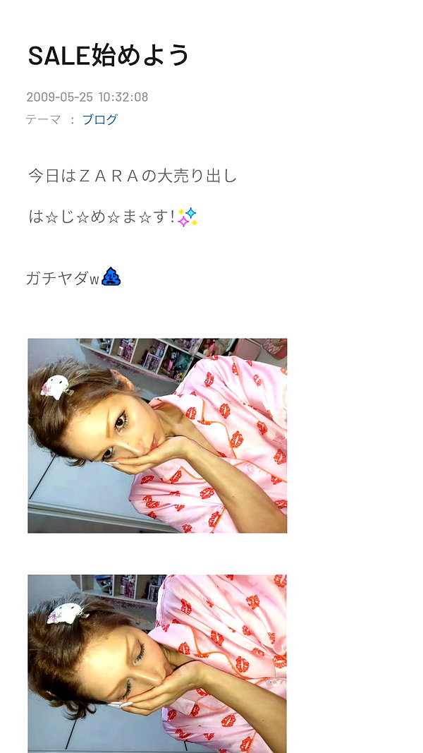 piyokoblog archive image