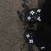 yifan.liii Altpins Profile Picture