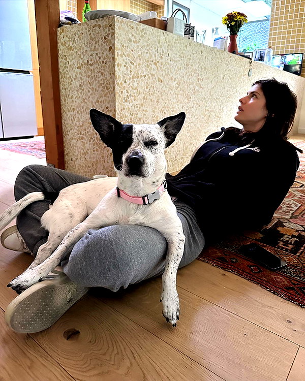 alexandradaddario instagram image archive image