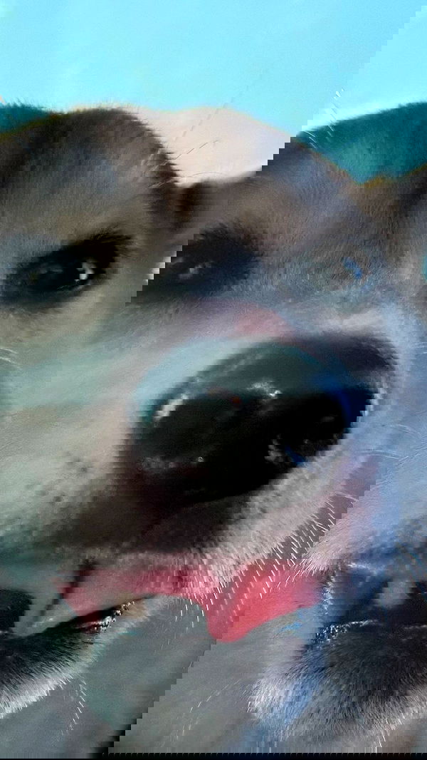 zommmbri zommmbri archive image