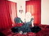 amellliiaa Altpins Profile Picture