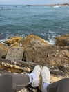 michal_cohen017 Altpins Profile Picture