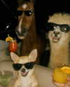 ellaexplicit_ Altpins Profile Picture